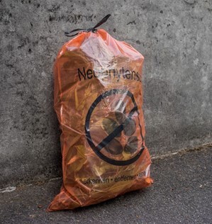 Bild Neophytensack